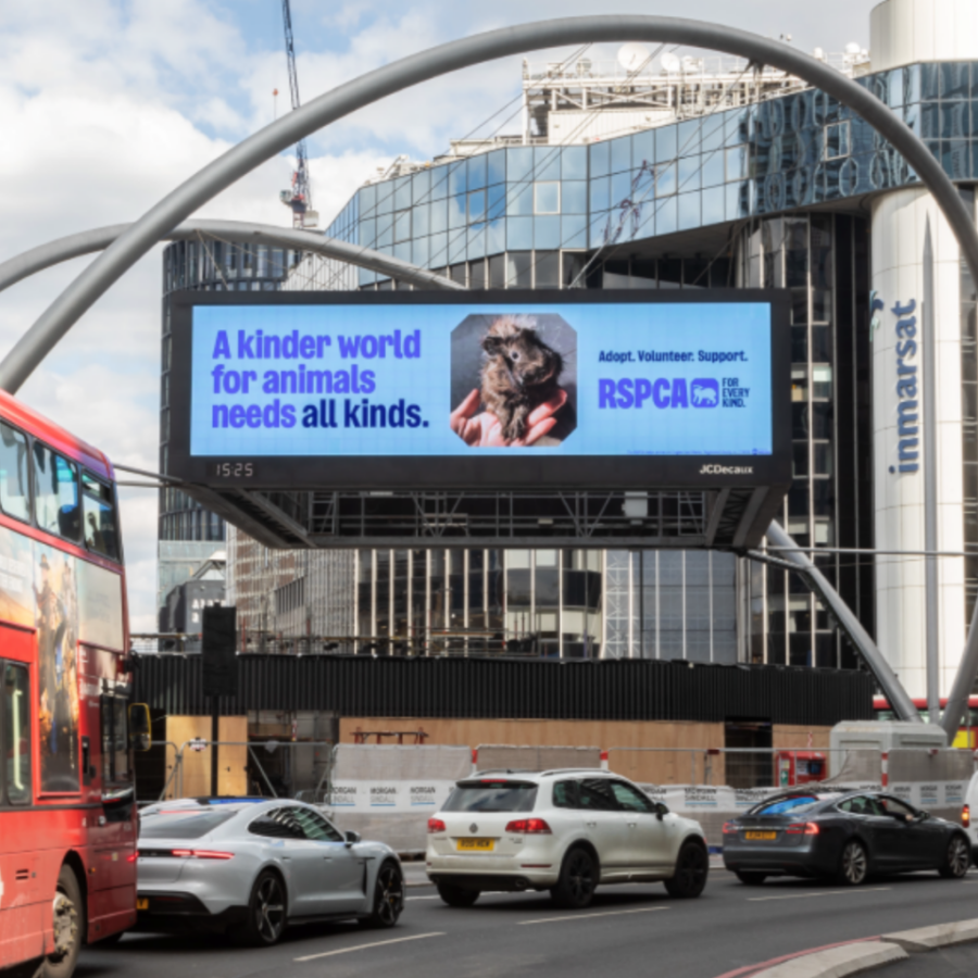 A busy city street with a red double-decker bus and cars passing a glass building; a digital billboard shows a guinea pig and an RSPCA message: “A kinder world for animals needs all kinds,” conveying a hopeful appeal.