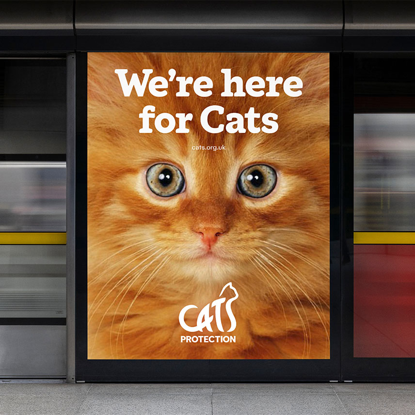 A transit-station poster features a close-up orange cat with wide, curious eyes and the message “We’re here for Cats,” promoting Cats Protection.