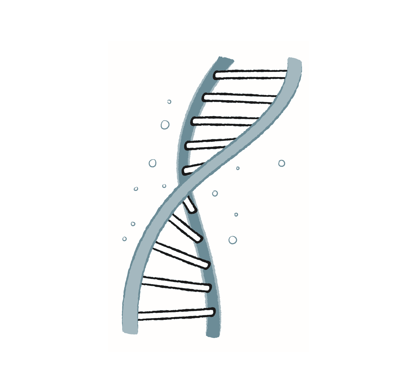 A hand drawn DNA