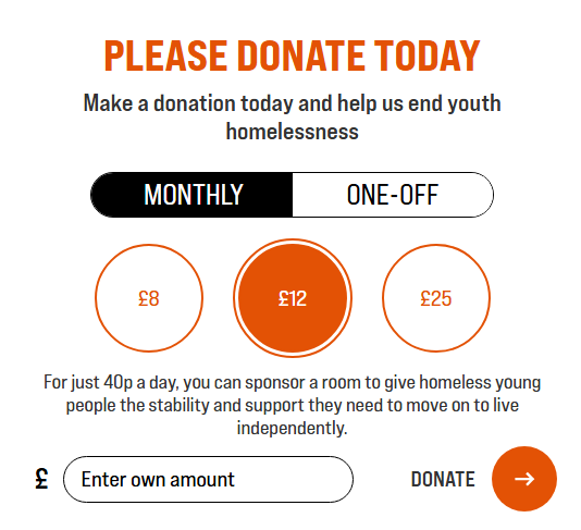 a screen shot of the donate button on a youth homeless charity website