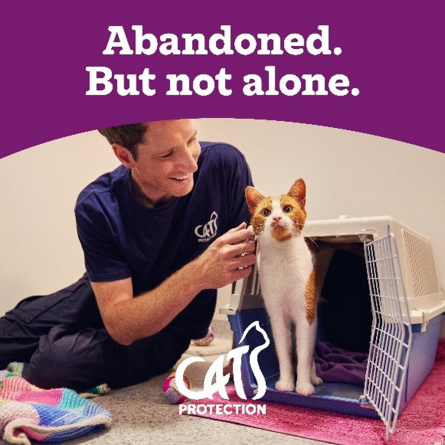 Cats Protection ad: a smiling man comforts an orange-and-white cat beside its open carrier. “Abandoned. But not alone.” conveys compassion and hope.